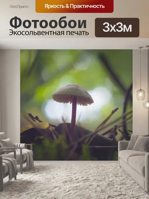 Фотообои Гриб