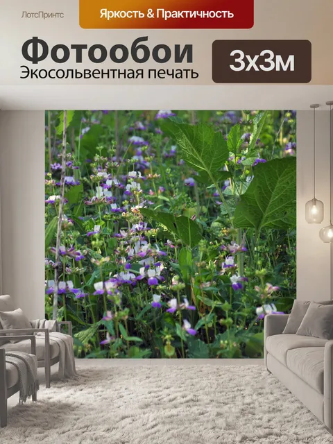 Фотообои Фиолетовый цветы Фон