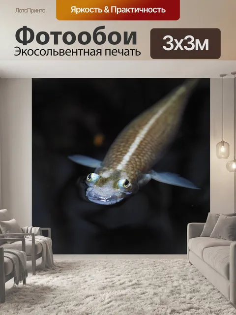 Фотообои Четыре глаза рыбы