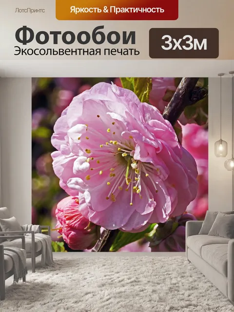 Фотообои Миндальное дерево