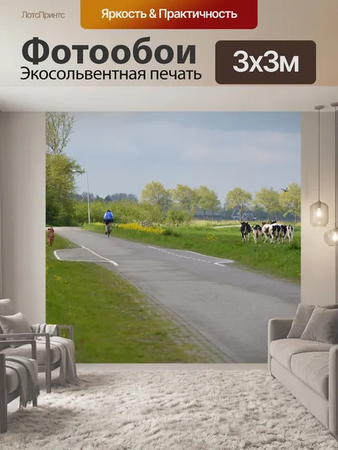 Фотообои Коровы, собаки и велосипедиста