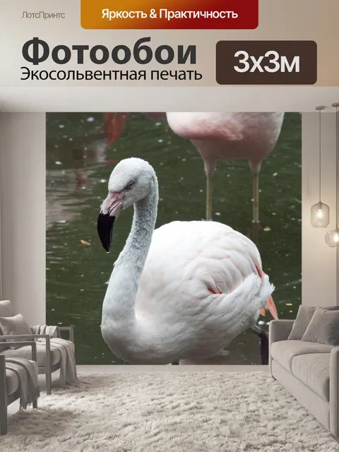 Фотообои Розовый Фламинго