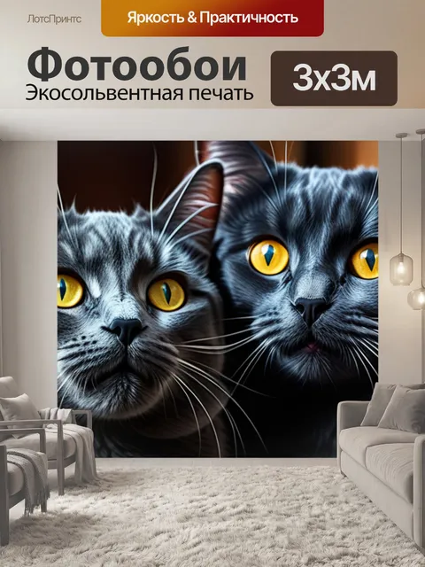 Фотообои с котами купить смешной