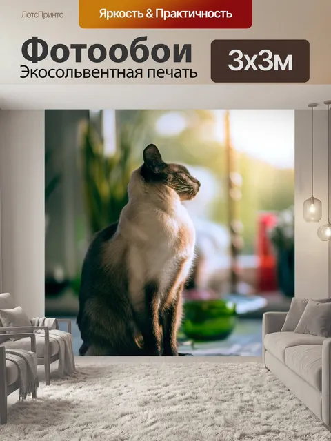 Фотообои Дом