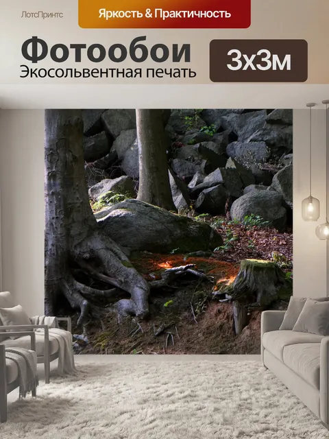 Фотообои Корень