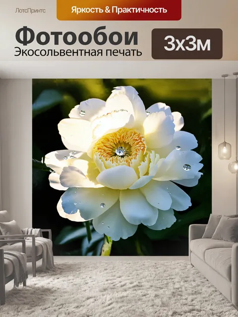 Фотообои крупным планом изображен белый пион, окруженный каплями росы, которые блестят как алмазы под утренним солнцем