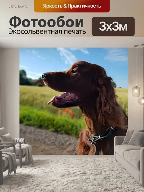 Фотообои Собака