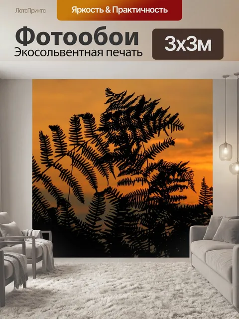 Фотообои Восход солнца
