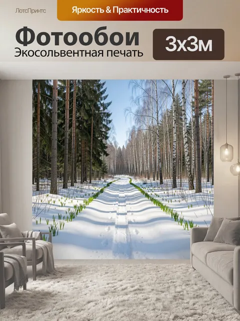 Фотообои Зимний лесной проселок