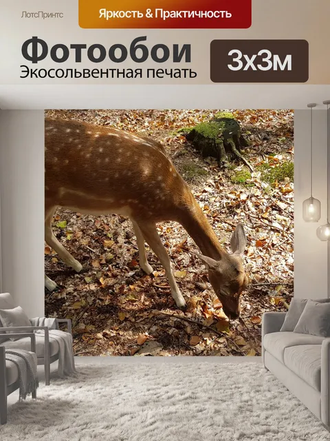 Фотообои Природа