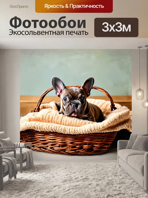 Фотообои симпатичный французский бульдог, щенок, уютно устроился в корзине с теплым одеялом