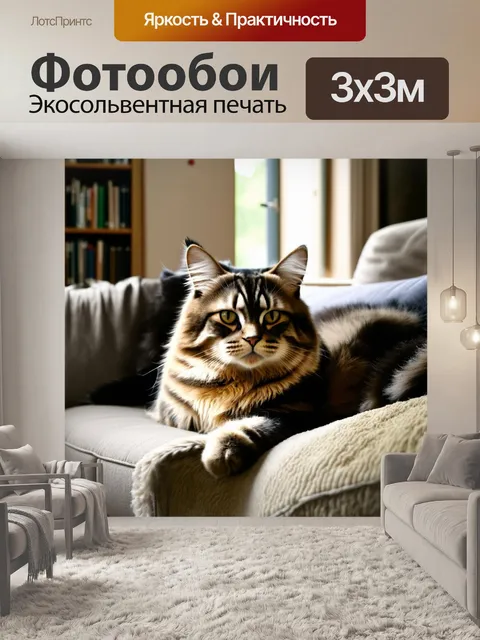 Фотообои кот мейн кун, лежащий на уютном диване, окружённый книгами и мягкими подушками