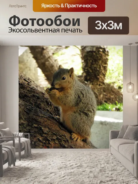 Фотообои Белка есть