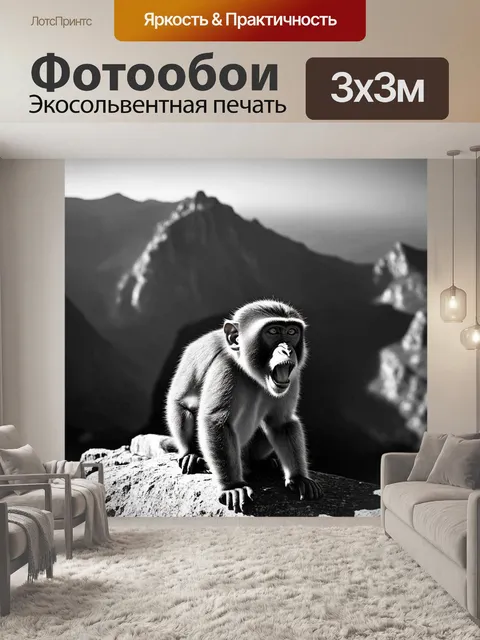Фотообои на вершине скалы гибралтара, обезьяна зевает, наблюдая за далекими горами