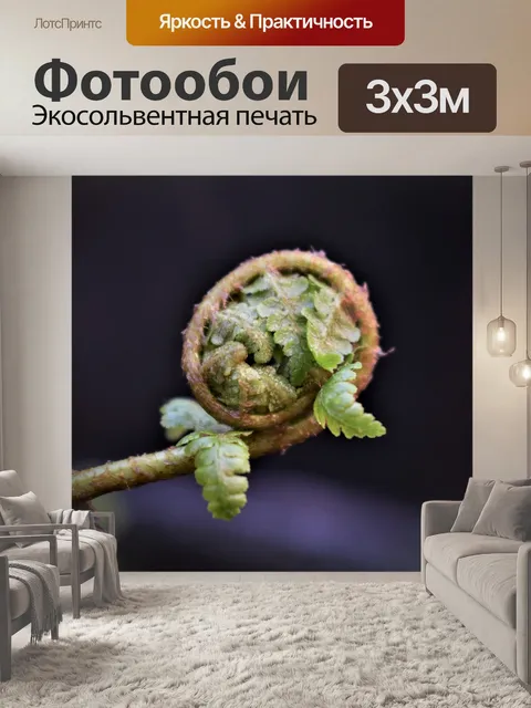 Фотообои Папоротник