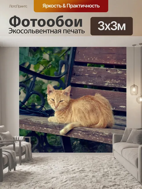 Фотообои Котенок на скамейке