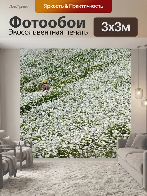 Фотообои Шаста дейзи