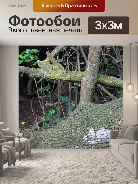 Фотообои текстура на коре ствола дерева