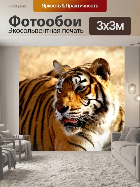 Фотообои Тигр