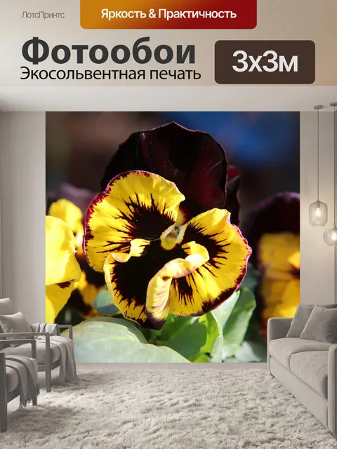 Фотообои Мысли