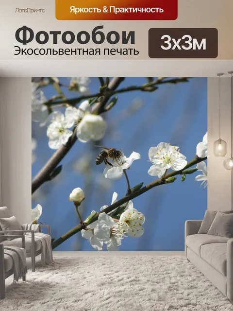 Фотообои Цветущая слива