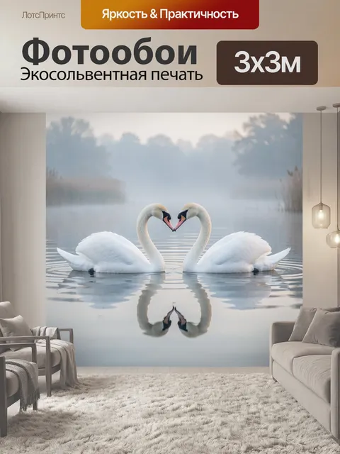 Фотообои Пара лебедей на спокойной воде