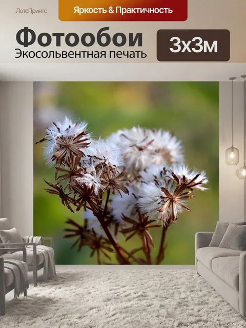 Фотообои Растения