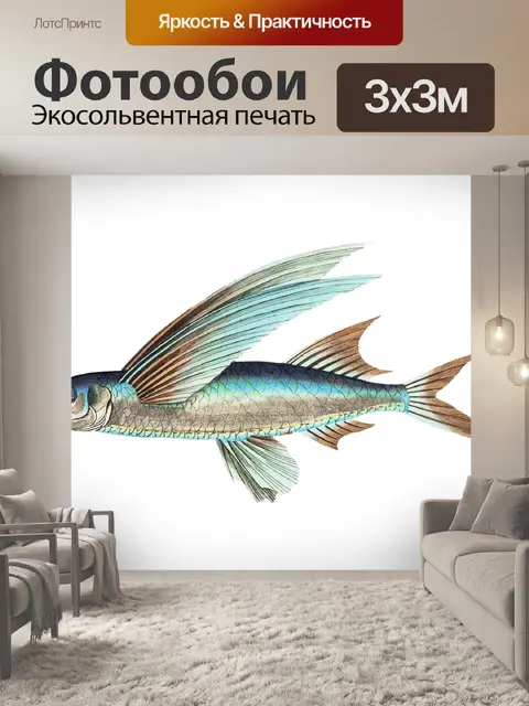 Фотообои Клипарт рыба винтаж нарисованная