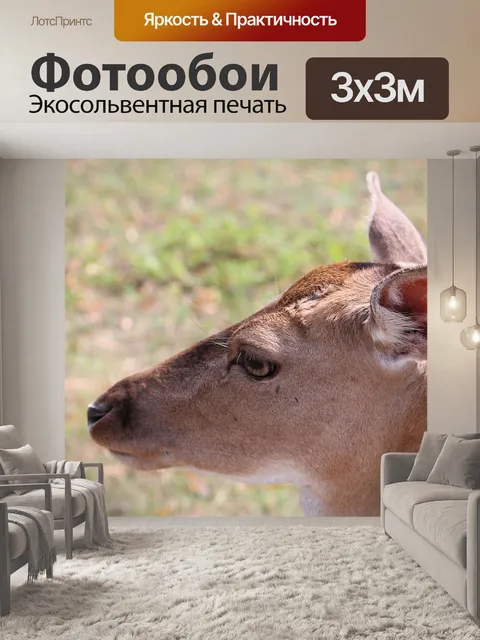 Фотообои Олень