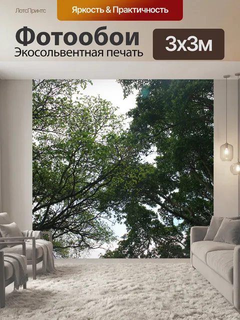 Фотообои зеленые верхушки деревьев