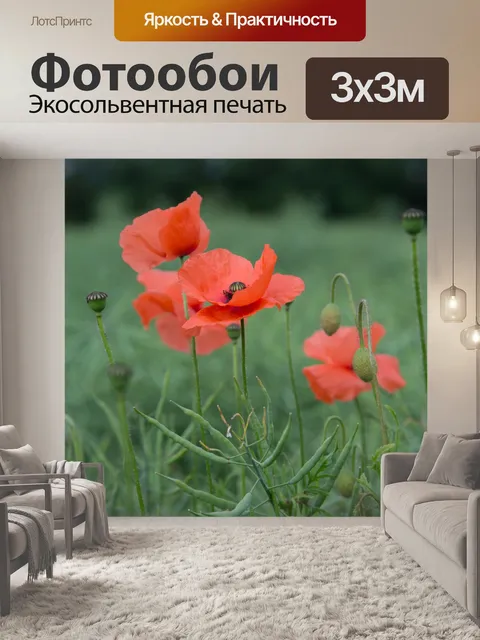 Фотообои Красный мак