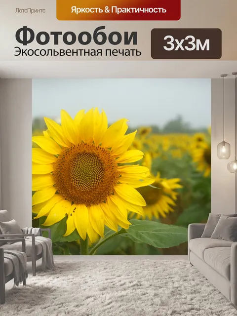 Фотообои Космос