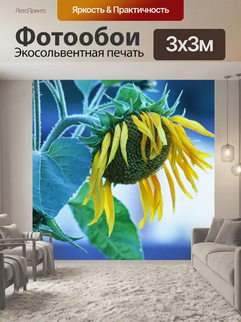 Фотообои большой желтый подсолнух поник