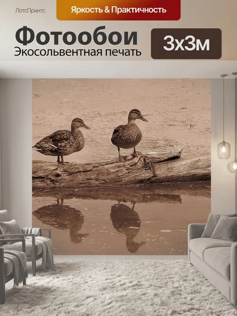 Фотообои Утки