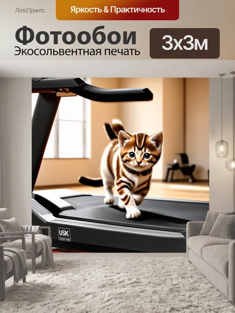 Фотообои котёнок в спортзале прокладывает свои первые пути на беговой дорожке
