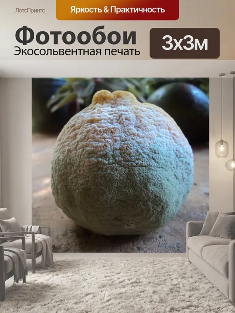 Фотообои Мандарин