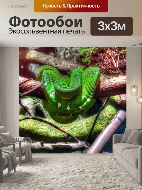Фотообои Зеленая Змея