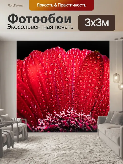 Фотообои Красная гербера