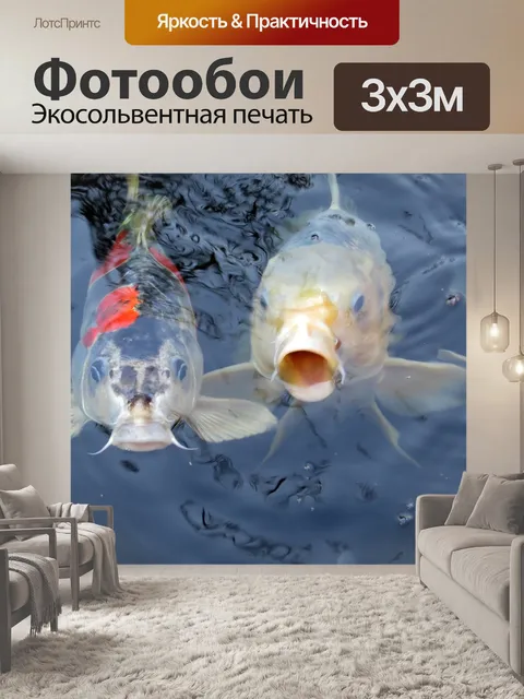 Фотообои Koi
