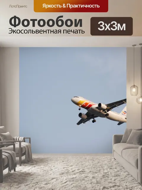 Фотообои Коммерческая посадку самолет