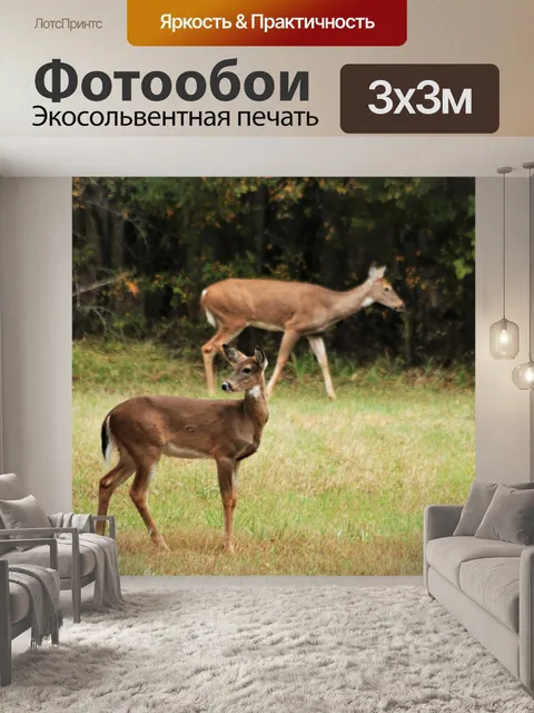 Фотообои Молодой белохвостый олень осенью 3