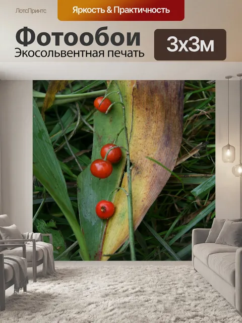 Фотообои Ландыш ягод
