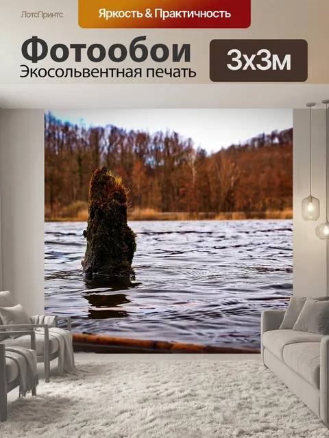Фотообои Ствол