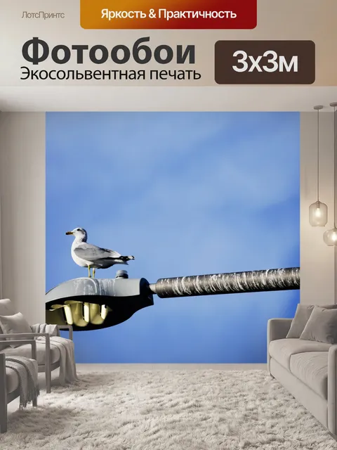 Фотообои Чайка на свете