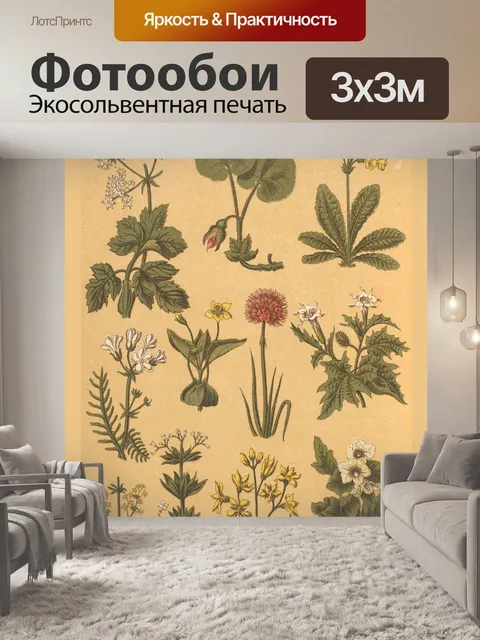Фотообои Винтажные ботанические коллажи