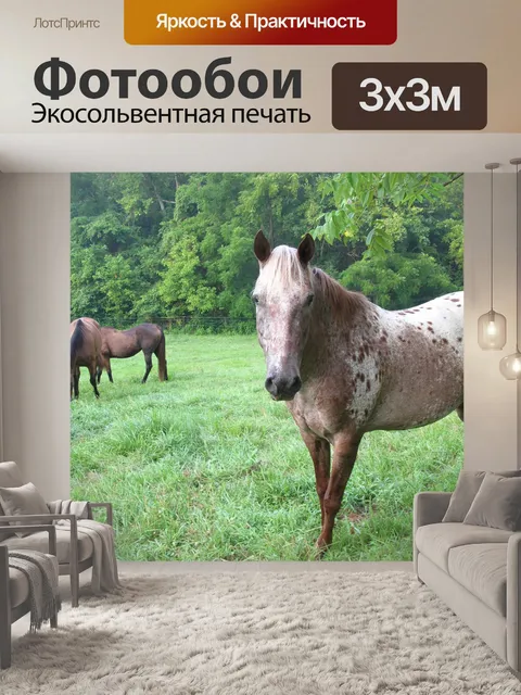 Фотообои Пинто лошадь на пастбище