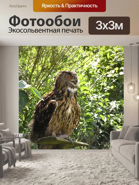 Фотообои Уху