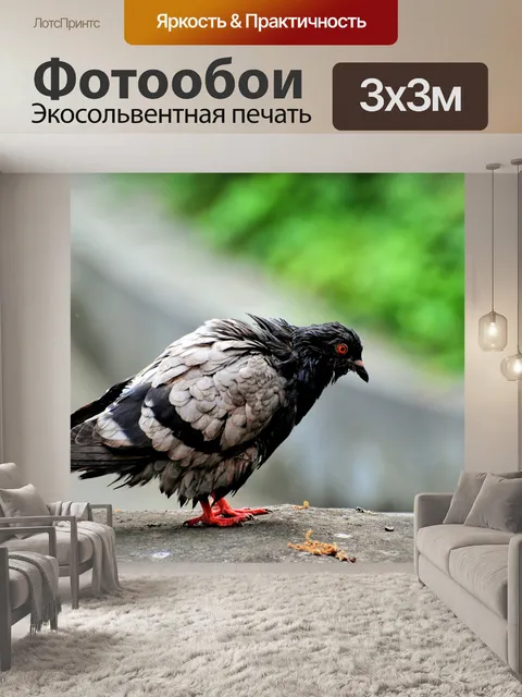 Фотообои Птица