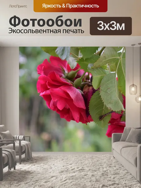 Фотообои Рось