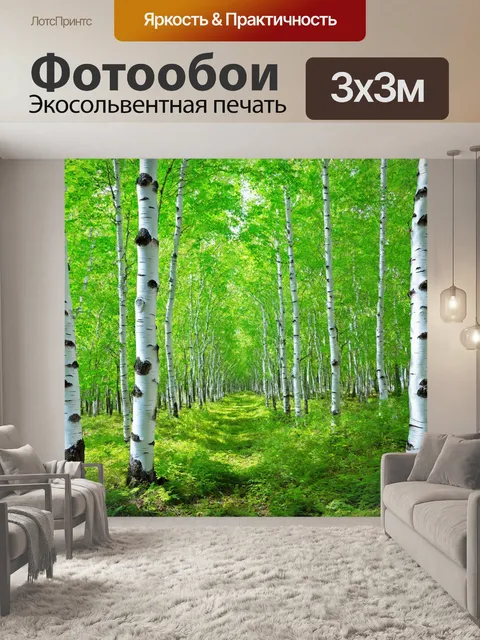 Фотообои старая берёзовая роща, белые стволы на фоне ярко-зелёной листвы